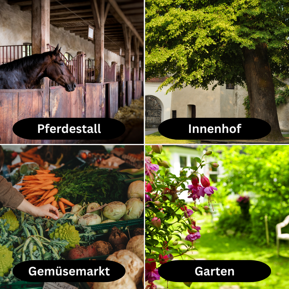 Fliegenfalle - Effektiver Schutz, Fliegen- und Bremsen-Falle